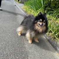 穏やかな日曜