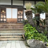 西伊豆へ　9　玉泉寺他