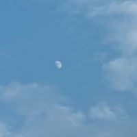 ７月なんだよね・・・