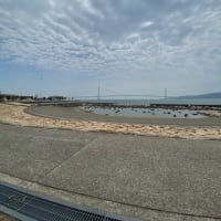 寝たいだけ寝る( ◠‿◠ )