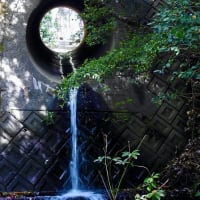 新緑に開いた丸窓