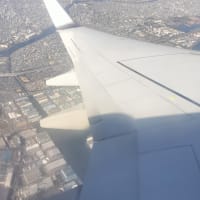 空の上から東京ディズニーリゾートと富士山を眺める