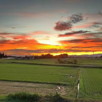 2024年9月22日　16釣り目　鬼怒川