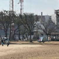 春晴れ