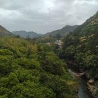 こまどりの湯 0509