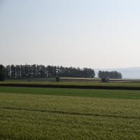 美瑛みたい～♪ in 由仁町