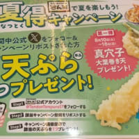 本日のランチはさん天針中野店へ。いつもの天ぷら定食+２００円でざるソバへ変更。真穴子大葉巻きゲット。