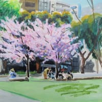 桜の花の満開の下