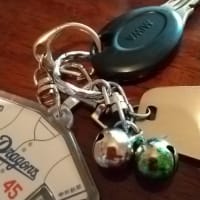 落とした鍵は出てこなかった、、、