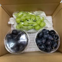 パック入り「ナガノパープル」