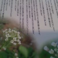 カレンダーの余白　２９号
