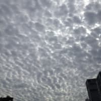 昔は老人の日と呼んでいた！（怖）