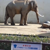 携帯機種変更