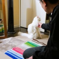 我儘時間に更新