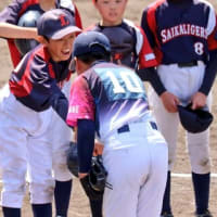 試合予定(全日本学童・Ｄブロック)