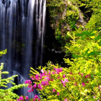 雄大な滝の眺め‐長野県松本市：乗鞍高原・善五郎の滝