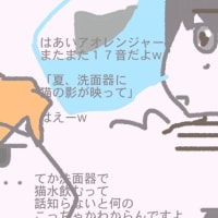 夏、洗面器にねこの影が映って