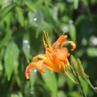 花と緑の学習園へ～♪