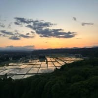 水無月 2025