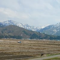 今年の帰省は日本海
