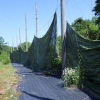 鉛飛散防止ネット
