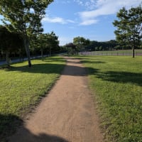 今朝の防災公園