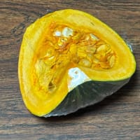 2025.06.18　カボチャの種が発芽！