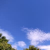 雨中看昊日