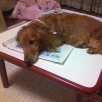 さっぱり