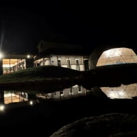 夜の別邸わんこ日和
