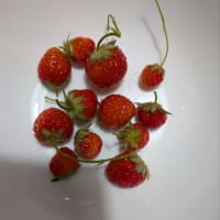 今日も寒くて暖房してます