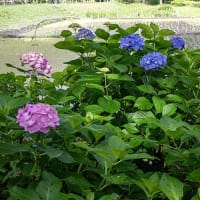 長閑さの中で。