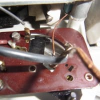 Braun,  SK 5