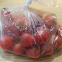 モーは、むさしの森！