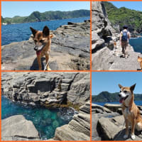 GWの犬連れ旅行・その6 愛犬と癒しのアジアンリゾート 海宿 太陽人に宿泊