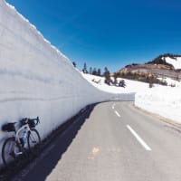 渋峠、雪の壁（4年ぶり3回目）