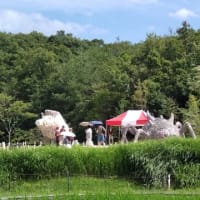 もののけの里：タタリ神という土蜘蛛、猪の乙事主