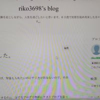 はてなブログに行けたかな
