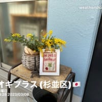 カゴ編みレッスン