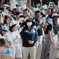 パンダ4頭中国に返還されて和歌山を出発