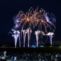 鳴門ｳﾁﾉｳﾐ総合公園の花火