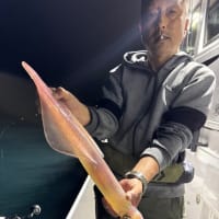 夜焚き