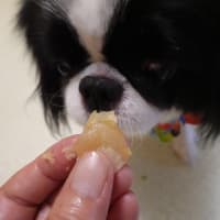 虹　誕生日