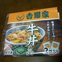 牛丼