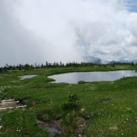 苗場山夏山シーズン