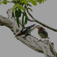 ありがとうございました！