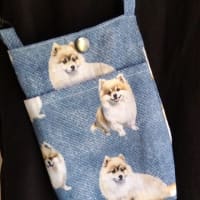 ふうたんのバッグ、完成しました。