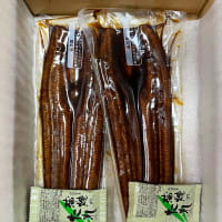 ふるさと納税　定期便《３回届》 鹿児島産うなぎ蒲焼 1kg(180g✕2尾✕3回)@鹿児島県鹿屋市　其ノ壱