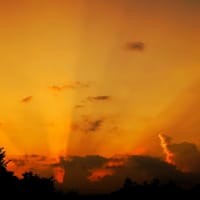 七夕さま！！