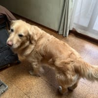 あるよね